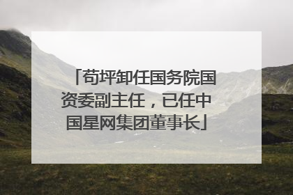 苟坪卸任国务院国资委副主任，已任中国星网集团董事长