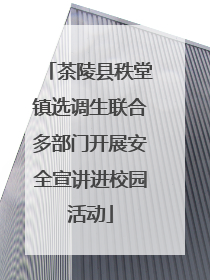 茶陵县秩堂镇选调生联合多部门开展安全宣讲进校园活动