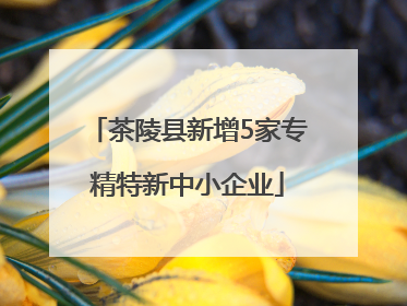 茶陵县新增5家专精特新中小企业