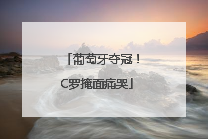 葡萄牙夺冠！C罗掩面痛哭
