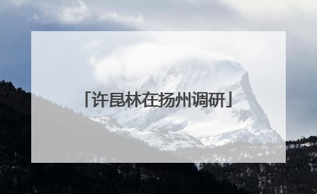 许昆林在扬州调研