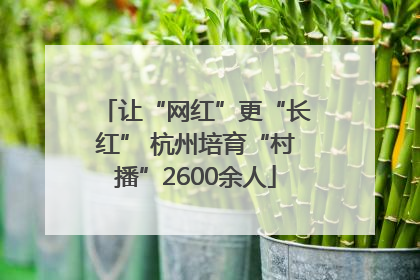 让“网红”更“长红” 杭州培育“村播”2600余人