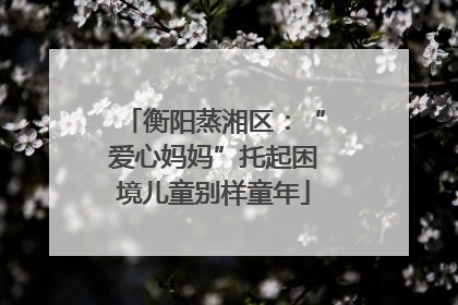 衡阳蒸湘区：“爱心妈妈”托起困境儿童别样童年
