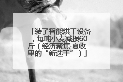 装了智能烘干设备，每吨小麦减损60斤（经济聚焦·夏收里的“新选手”）
