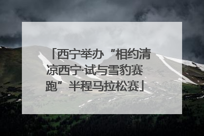 西宁举办“相约清凉西宁·试与雪豹赛跑”半程马拉松赛