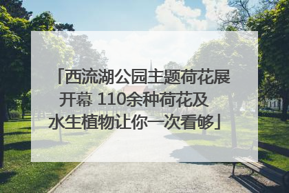 西流湖公园主题荷花展开幕 110余种荷花及水生植物让你一次看够