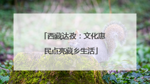 西藏达孜：文化惠民点亮藏乡生活
