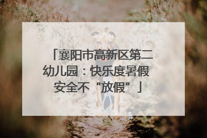 襄阳市高新区第二幼儿园：快乐度暑假 安全不“放假”
