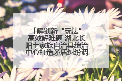 解锁新“玩法” 高效解难题 湖北长阳土家族自治县综治中心打造矛盾纠纷调处“终点站”
