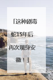 这种剧毒蛇15年后再次现身安徽！