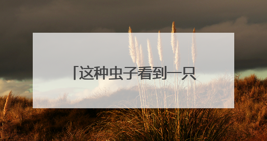 这种虫子看到一只，家里很可能已有一万只（不是蟑螂）