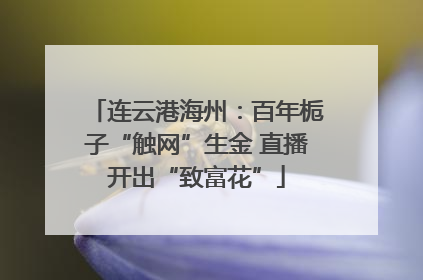 连云港海州：百年栀子“触网”生金 直播开出“致富花”