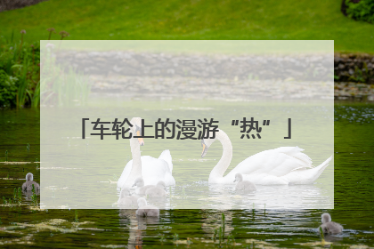 车轮上的漫游“热”