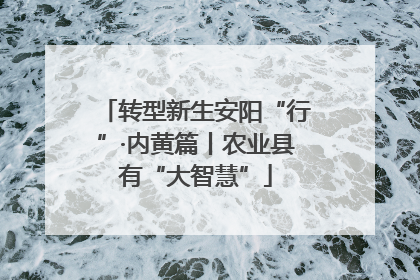 转型新生安阳“行”·内黄篇丨农业县有“大智慧”
