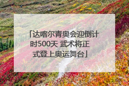 达喀尔青奥会迎倒计时500天 武术将正式登上奥运舞台