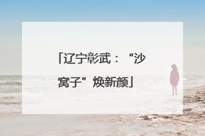 辽宁彰武：“沙窝子”焕新颜