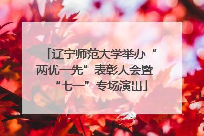 辽宁师范大学举办“两优一先”表彰大会暨“七一”专场演出