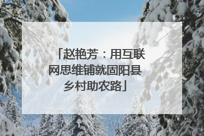 赵艳芳：用互联网思维铺就固阳县乡村助农路