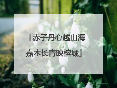 赤子丹心越山海 嘉木长青映榕城
