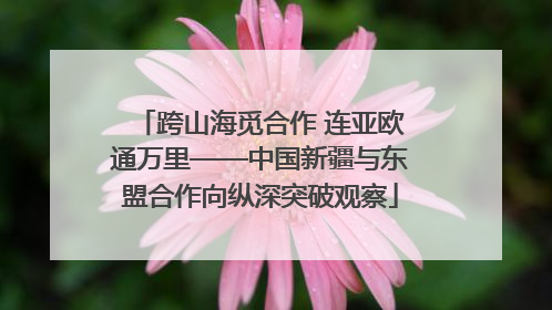 跨山海觅合作 连亚欧通万里——中国新疆与东盟合作向纵深突破观察