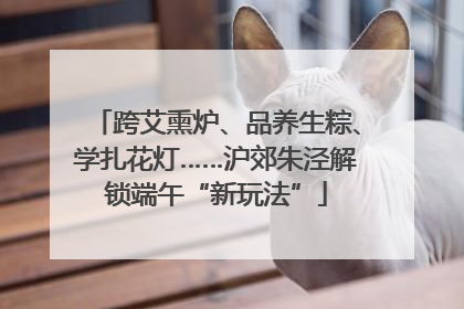 跨艾熏炉、品养生粽、学扎花灯……沪郊朱泾解锁端午“新玩法”