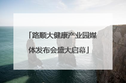 路顺大健康产业园媒体发布会盛大启幕