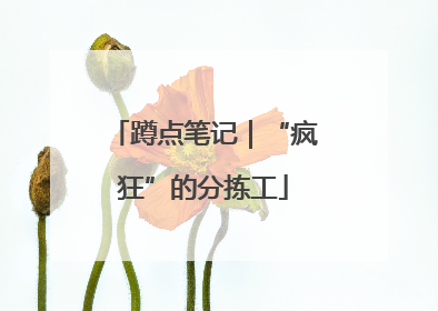 蹲点笔记｜“疯狂”的分拣工