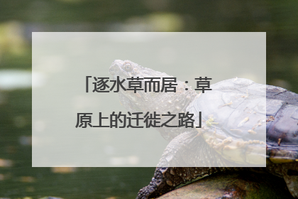 逐水草而居：草原上的迁徙之路