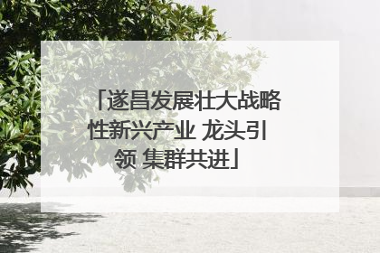 遂昌发展壮大战略性新兴产业 龙头引领 集群共进