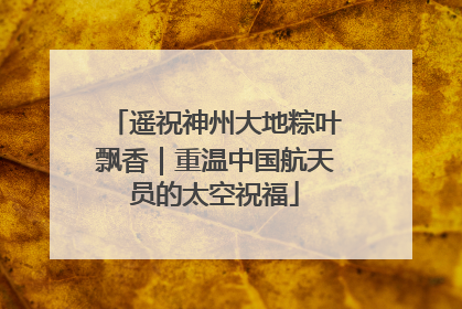 遥祝神州大地粽叶飘香｜重温中国航天员的太空祝福