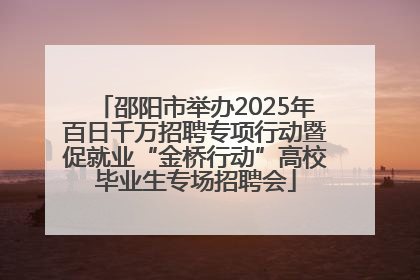 邵阳市举办2025年百日千万招聘专项行动暨促就业“金桥行动”高校毕业生专场招聘会