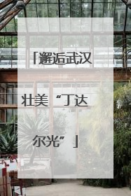 邂逅武汉壮美“丁达尔光”