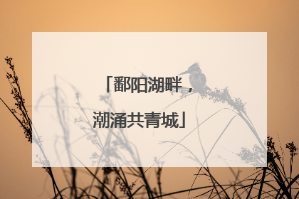 鄱阳湖畔，潮涌共青城