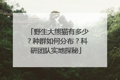 野生大熊猫有多少？种群如何分布？科研团队实地探秘