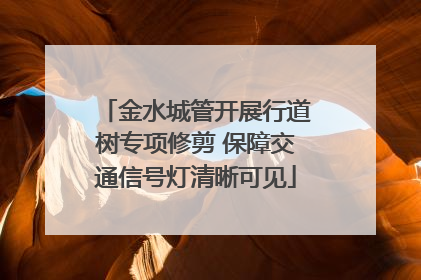 金水城管开展行道树专项修剪 保障交通信号灯清晰可见