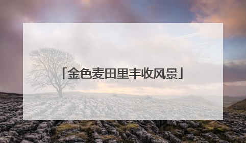 金色麦田里丰收风景