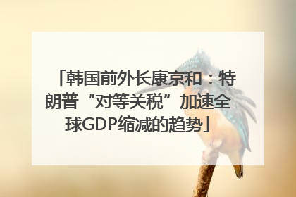 韩国前外长康京和：特朗普“对等关税”加速全球GDP缩减的趋势