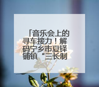 音乐会上的寻车接力！解码宁乡市夏铎铺镇“三长制”的基层治理新实践