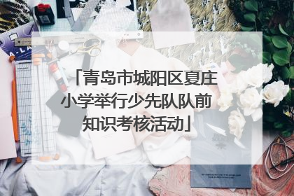 青岛市城阳区夏庄小学举行少先队队前知识考核活动