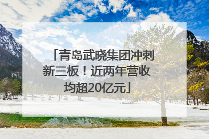 青岛武晓集团冲刺新三板！近两年营收均超20亿元
