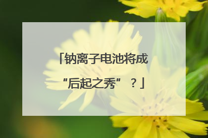 钠离子电池将成“后起之秀”？
