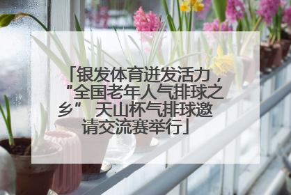 银发体育迸发活力，“全国老年人气排球之乡” 天山杯气排球邀请交流赛举行
