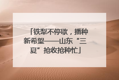 铁犁不停歇，播种新希望——山东“三夏”抢收抢种忙