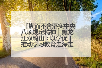 锲而不舍落实中央八项规定精神丨黑龙江双鸭山：以学促干推动学习教育走深走实 从小事入手写好“民生答卷”