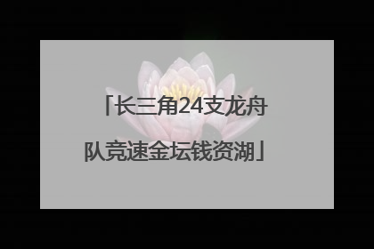 长三角24支龙舟队竞速金坛钱资湖