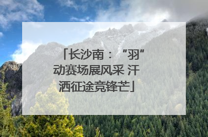 长沙南：“羽”动赛场展风采 汗洒征途竞锋芒