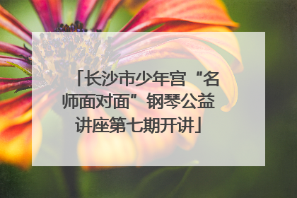 长沙市少年宫“名师面对面”钢琴公益讲座第七期开讲