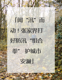 闻“汛”而动！张家界打好防汛“组合拳” 护城市安澜