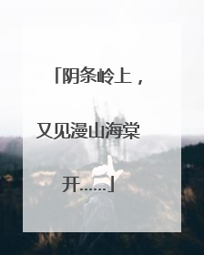 阴条岭上，又见漫山海棠开……