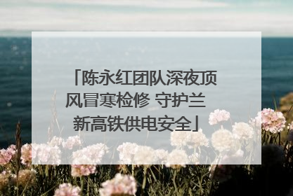 陈永红团队深夜顶风冒寒检修 守护兰新高铁供电安全